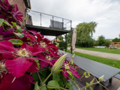 Fleurs bordeaux avec la terrasse du gîte La Grange en arrière plan